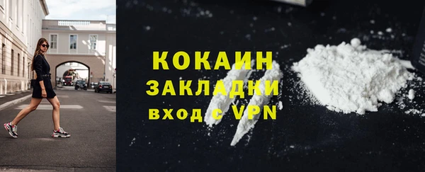 гашиш Богданович