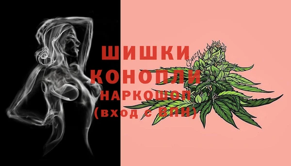 гашиш Богданович