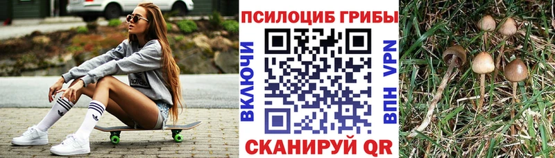 Галлюциногенные грибы Psilocybine cubensis  mega как войти  Торопец 